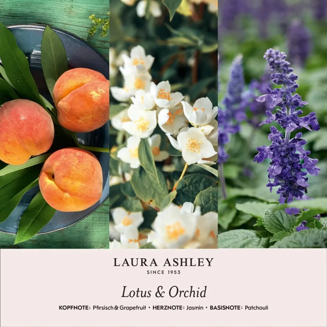 Laura Ashley Geurhanger Lotus en Orchidee Grijs - afbeelding 2 van 2