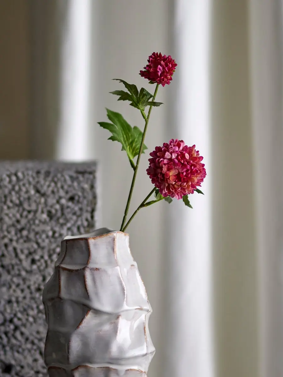 Chrysantemum Stem Pink