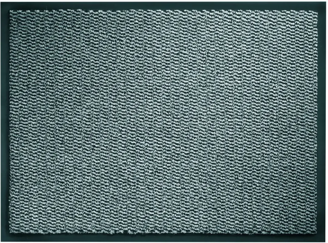 Hamat Spectrum Schoonloopmat 80x60cm
