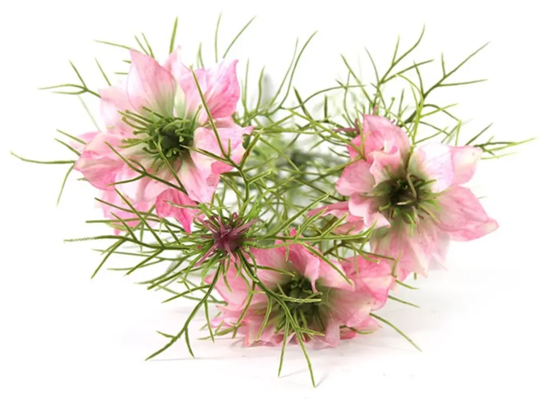 Countryfield Kunstbloem Cosmos bipinnatus Jalisha roze