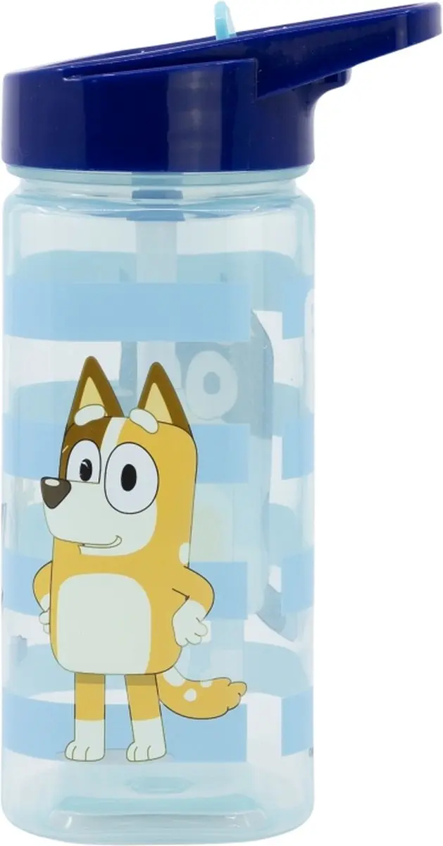 Bluey Bidon 530 ml met Uitklapbare Tuit