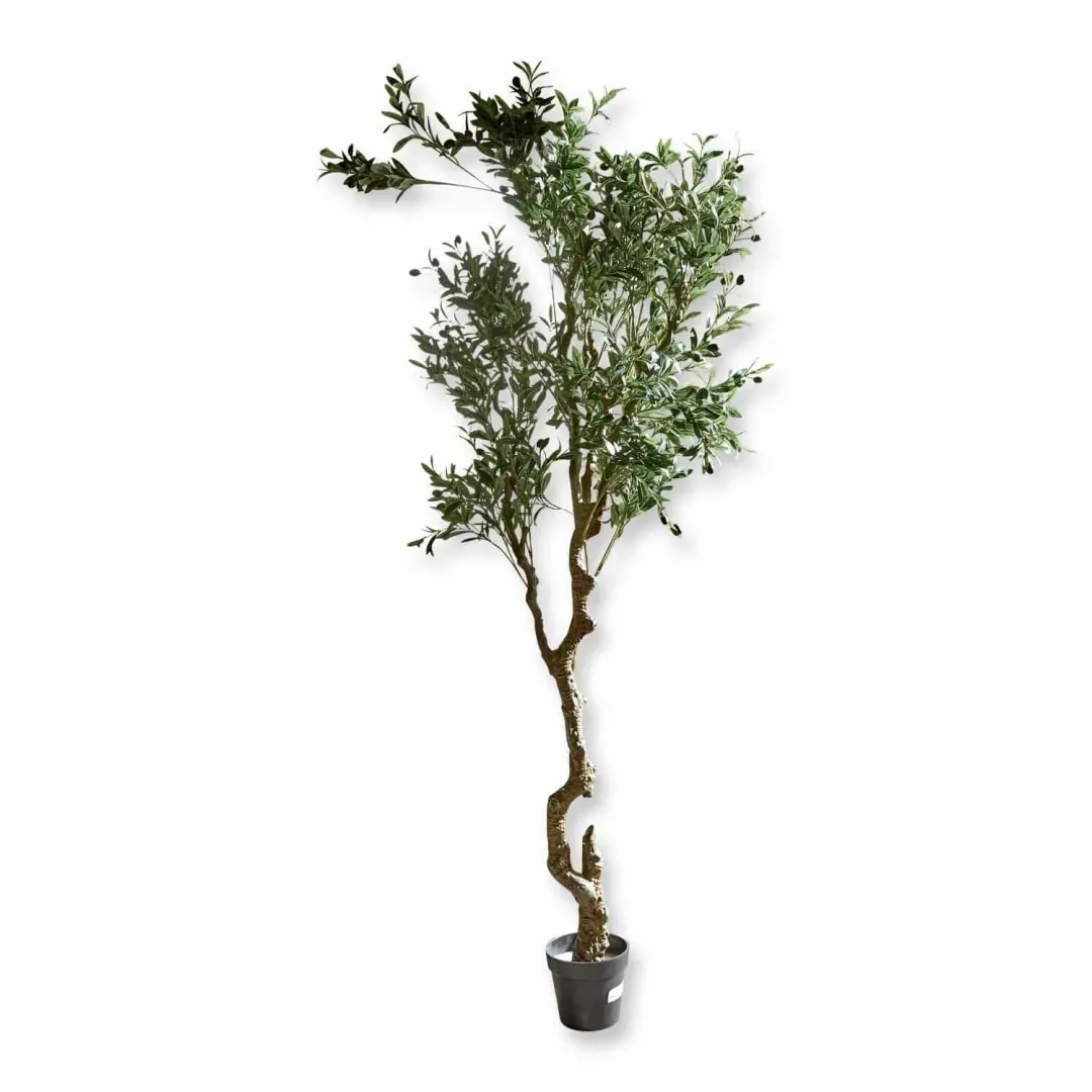 Loberon Sierpotplant Dambly