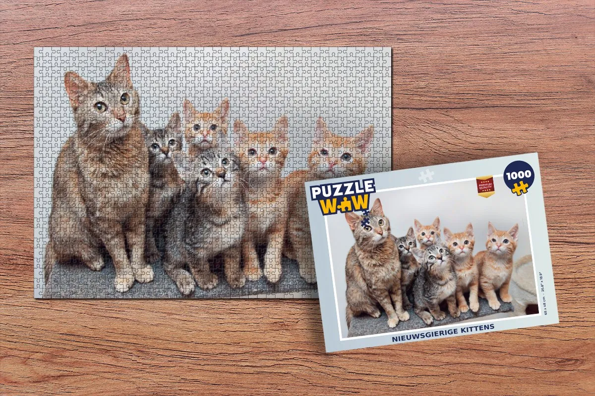 PuzzleWow Kittens Legpuzzel 1000 Stuks - Multicolor