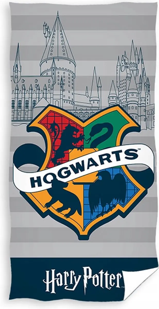 Harry Potter Hogwarts
