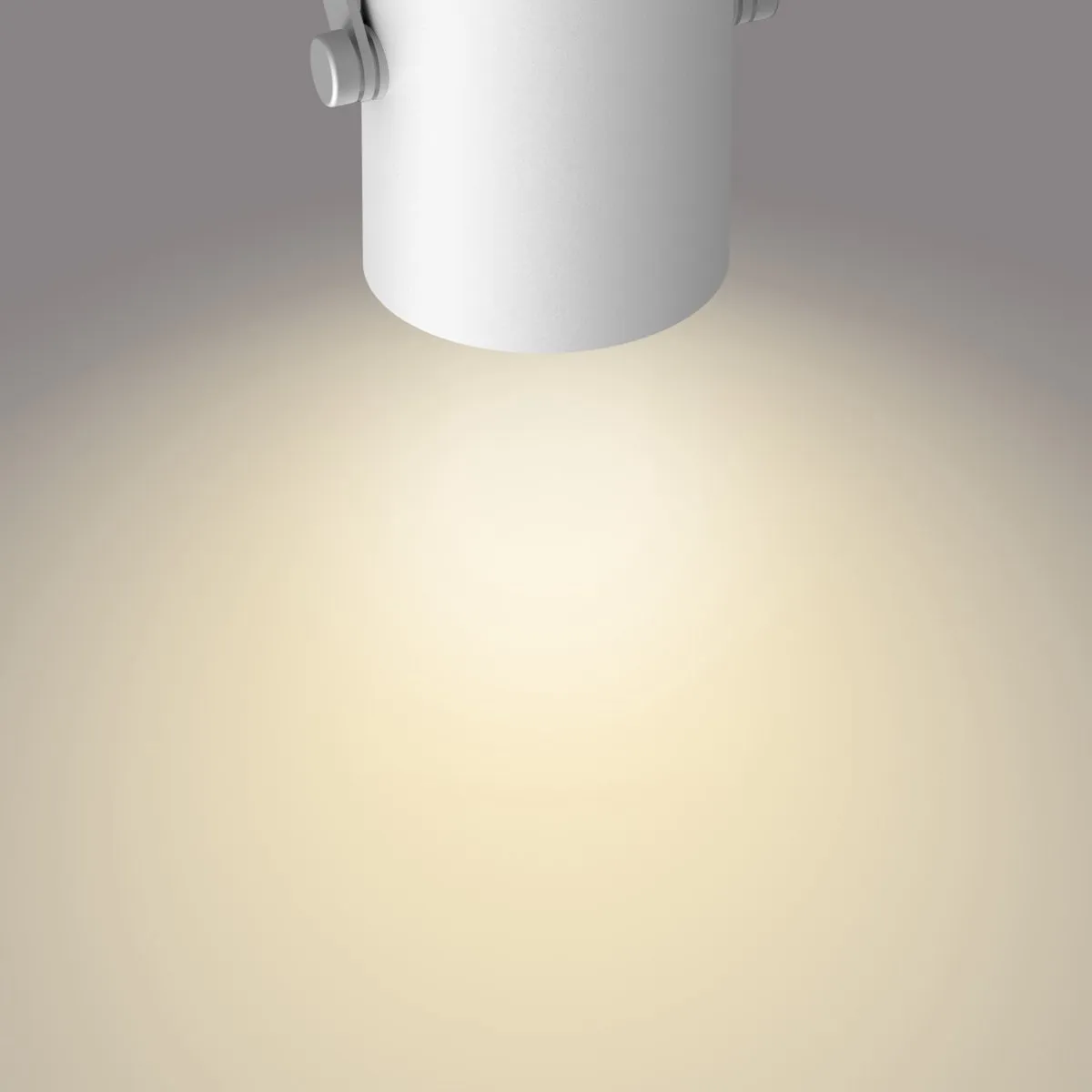 Philips BYRE Bar/Tube LED 2x4.3W 24V - Wit
