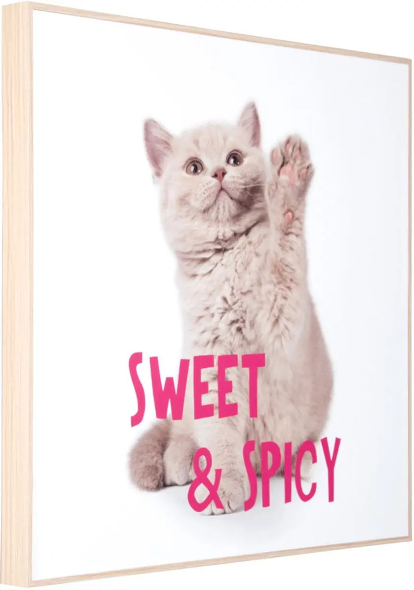 Present Time Wall Art Kitten Sweet & Spicy - 40x40cm - Multicolor - afbeelding 2 van 2