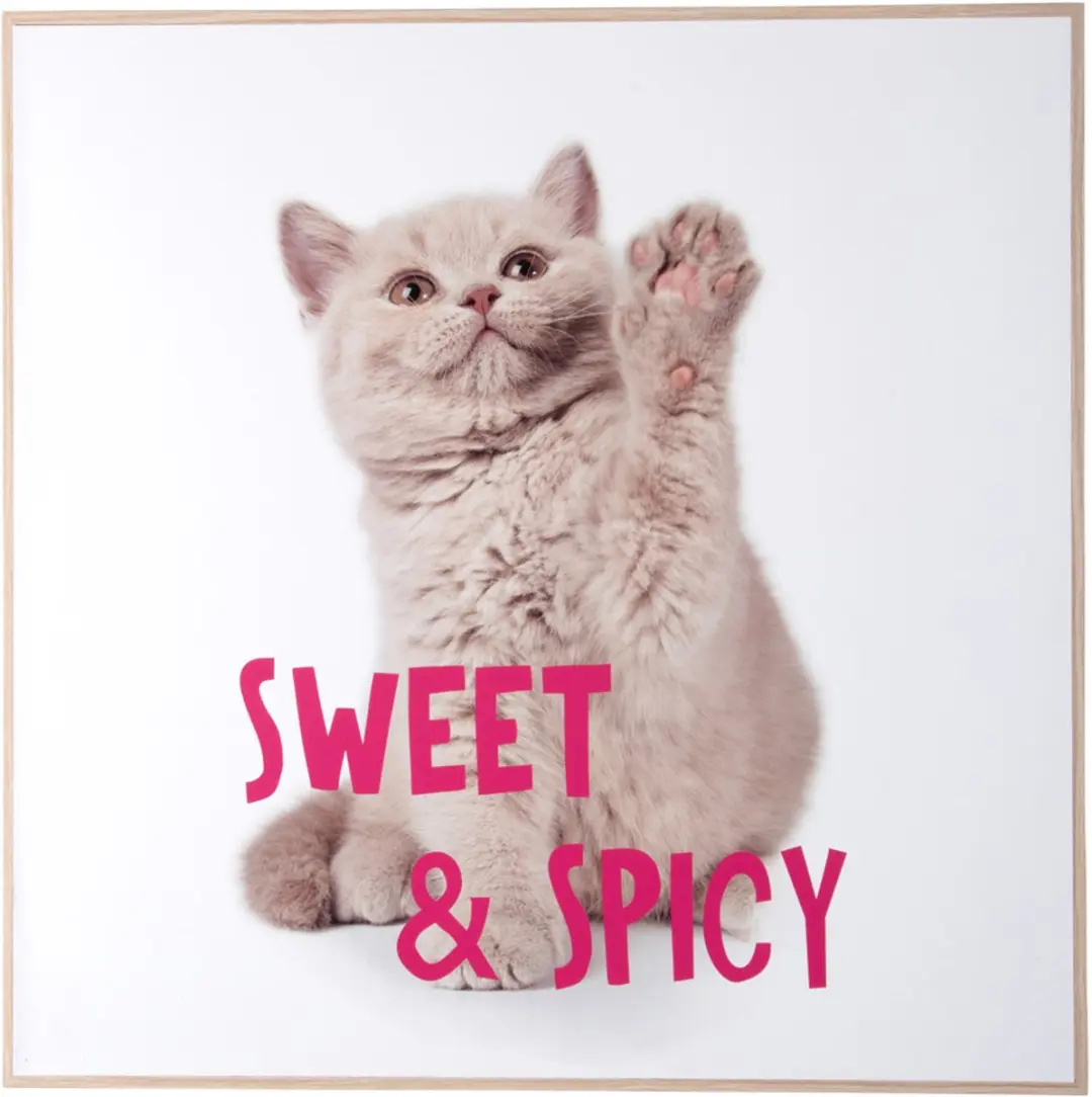 Present Time Wall Art Kitten Sweet & Spicy