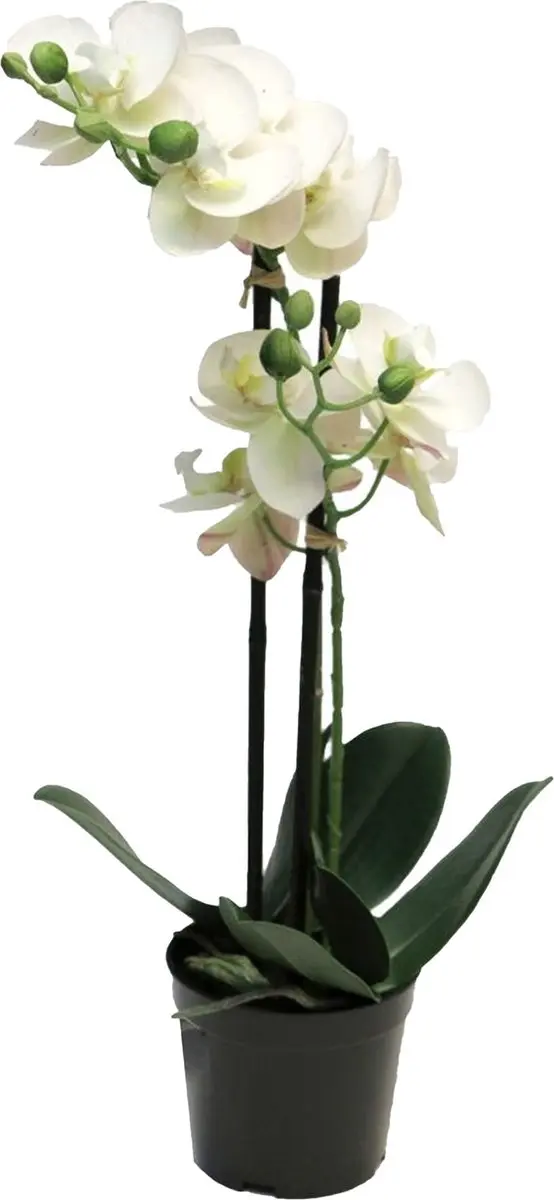 Bellatio Design Orchidee bloemen kunstplant Bora