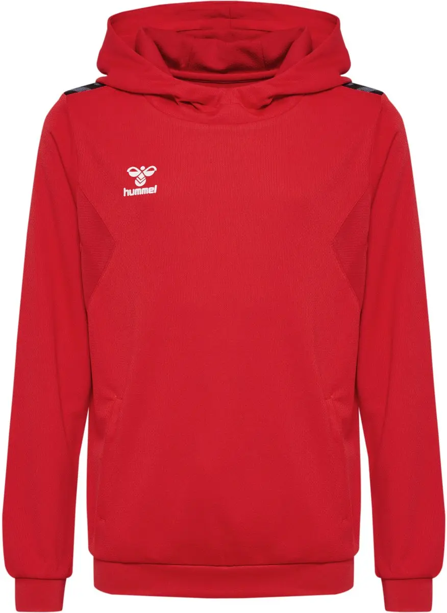 Hummel Authentic Pl Hoodie Kids 116