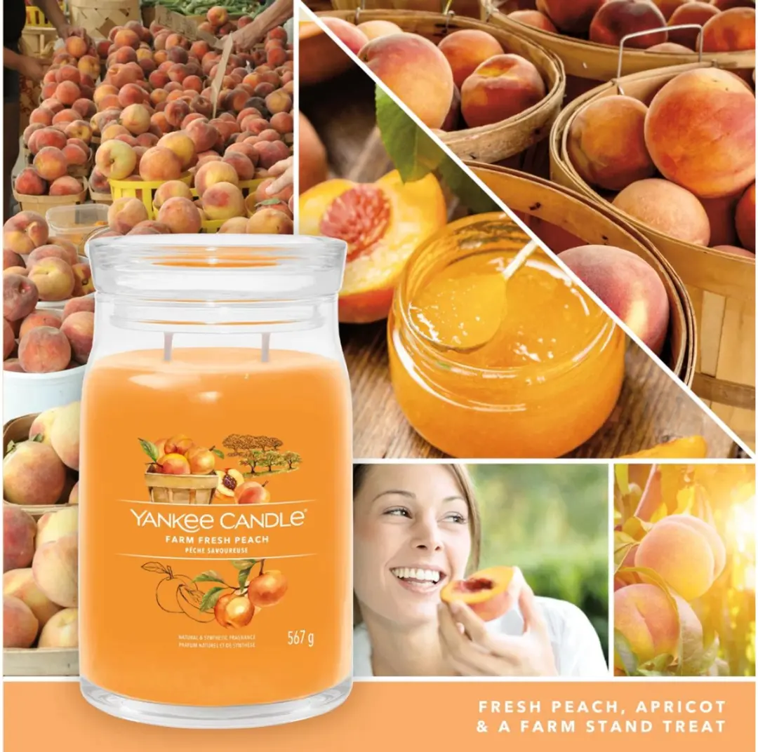 Yankee Candle Farm Fresh Peach Geurkaars - 90 branduren - afbeelding 3 van 5