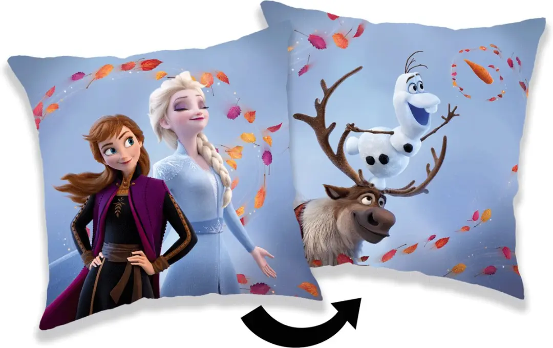 Disney Frozen Sierkussen Wind