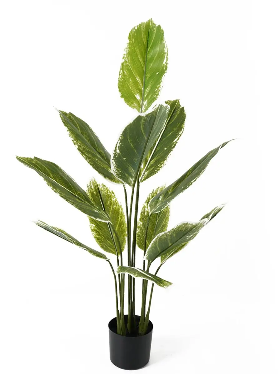 Present Time Calathea Large Kunstplant