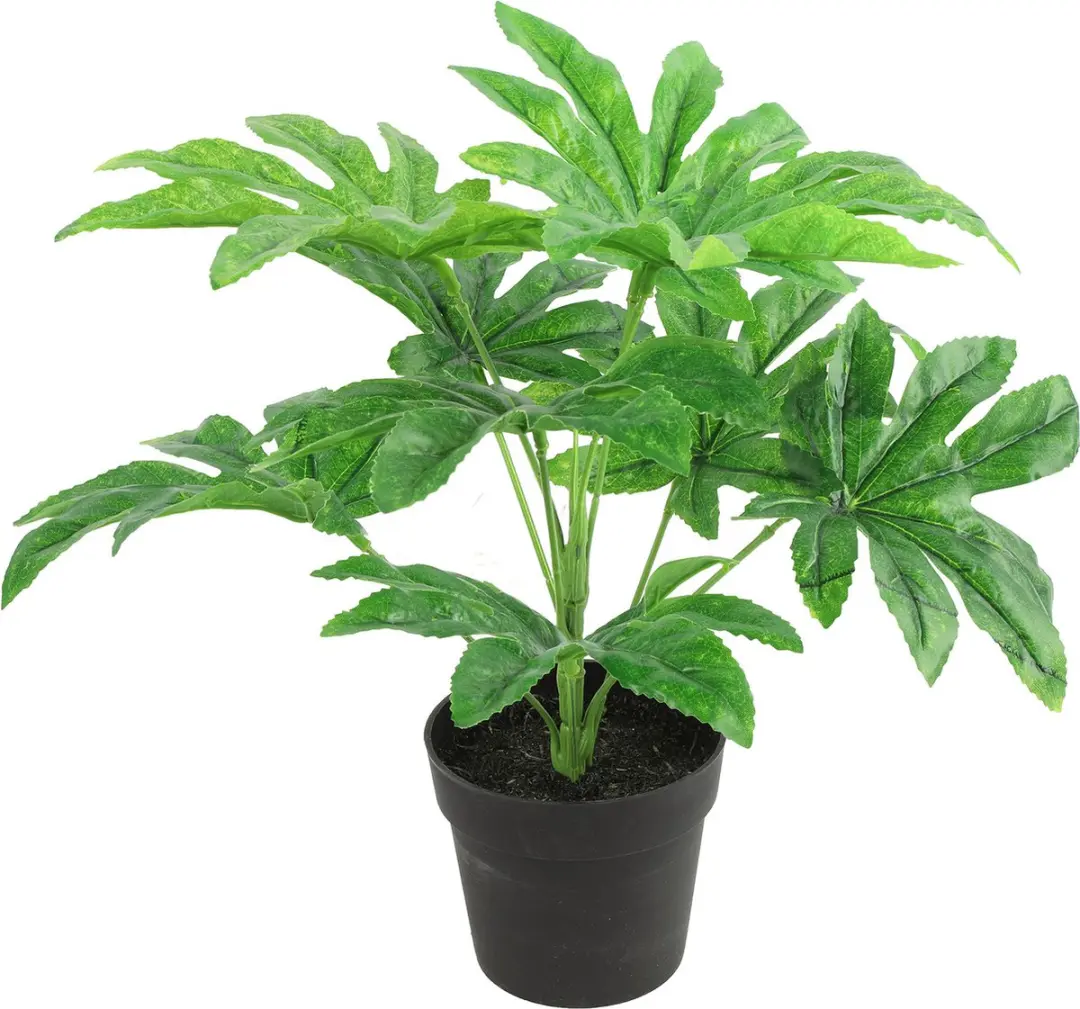 Countryfield Kunstplant Fatsia plant in bloempot