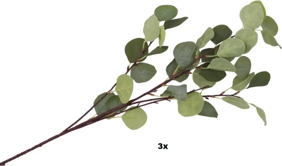 Countryfield Kunsttak Eucalyptus 17x90cm - Groen - afbeelding 3 van 3