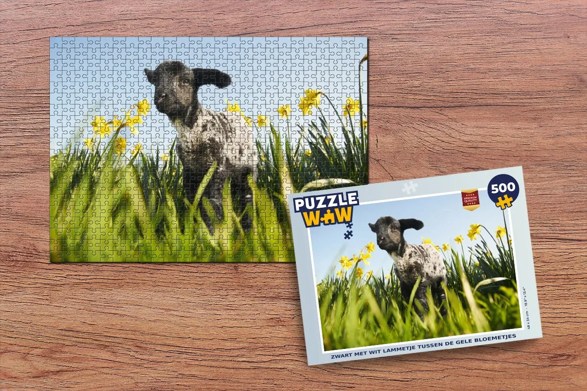 PuzzleWow Legpuzzel 500 Stuks - Multicolor