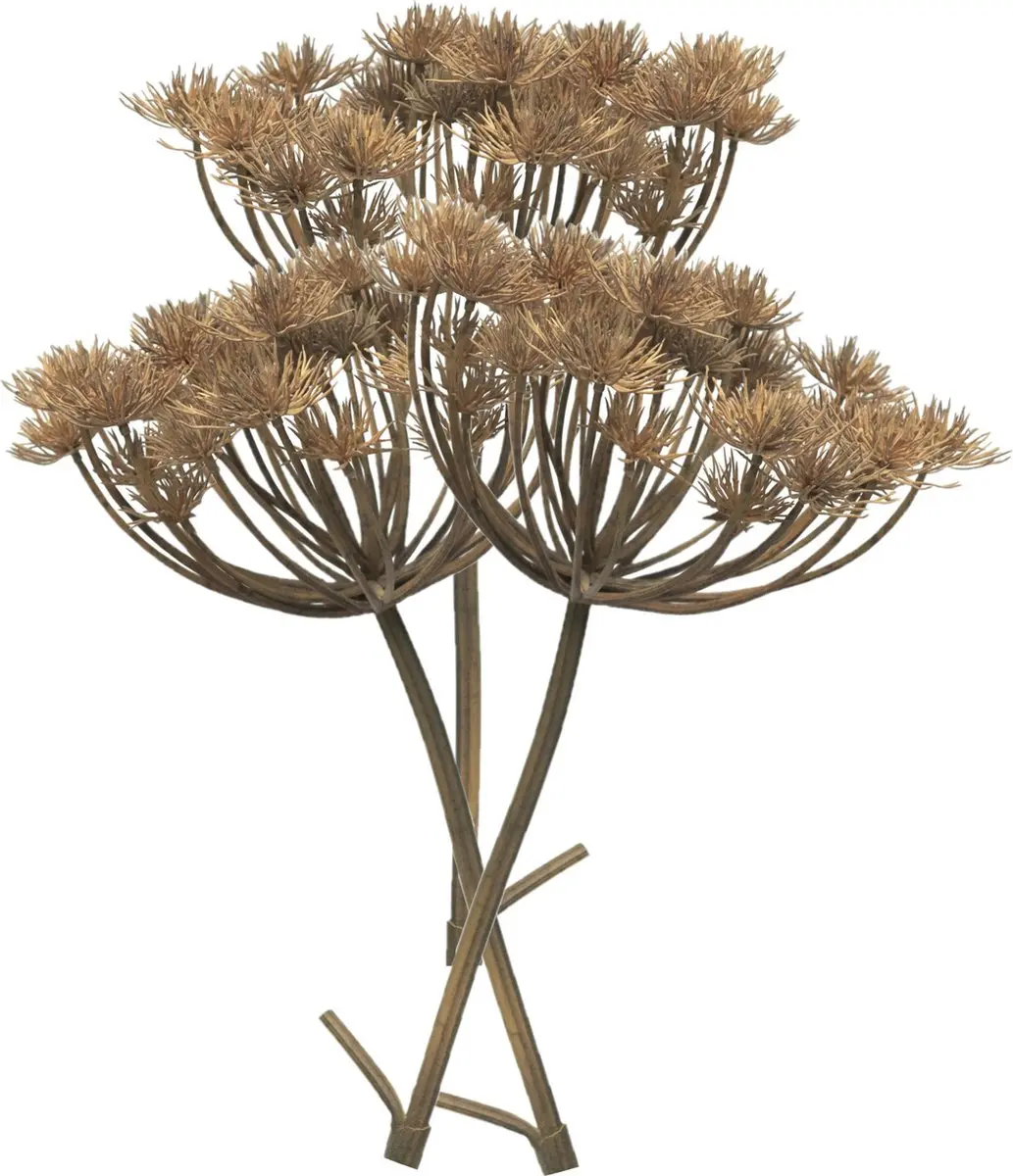 Bellatio Design Kunstbloem/kunsttak Berenklauw/heracleum - 3x - 98 cm - losse steel - kunst zijdebloem takken