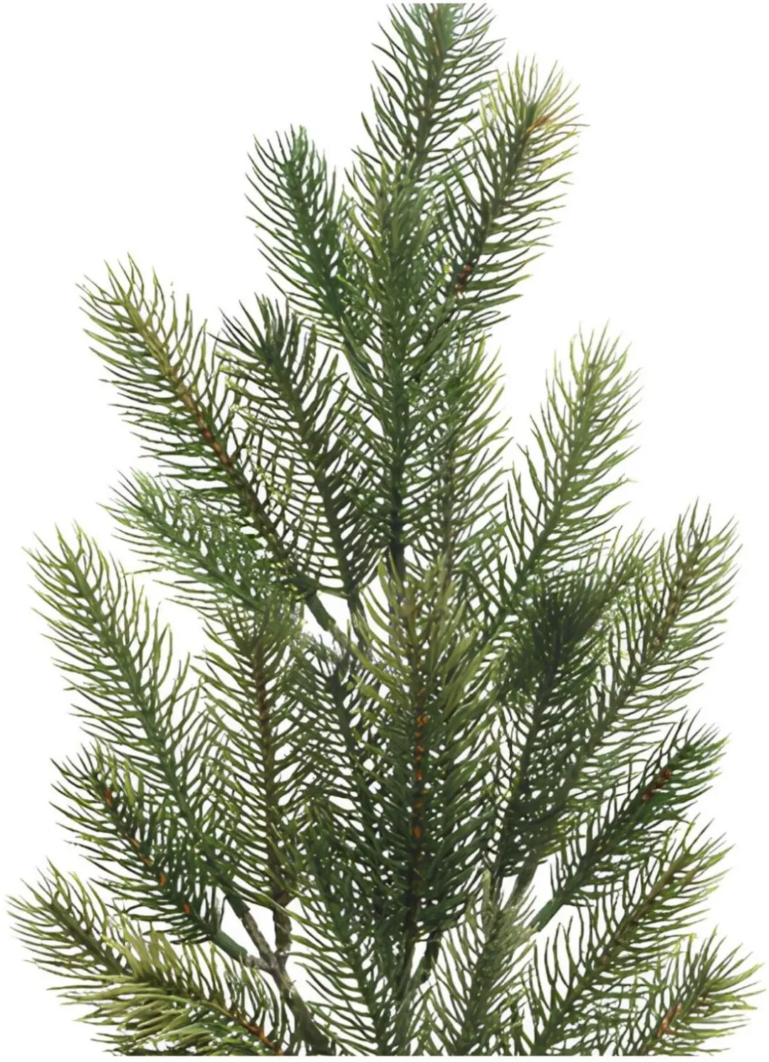 Decoris kersttak