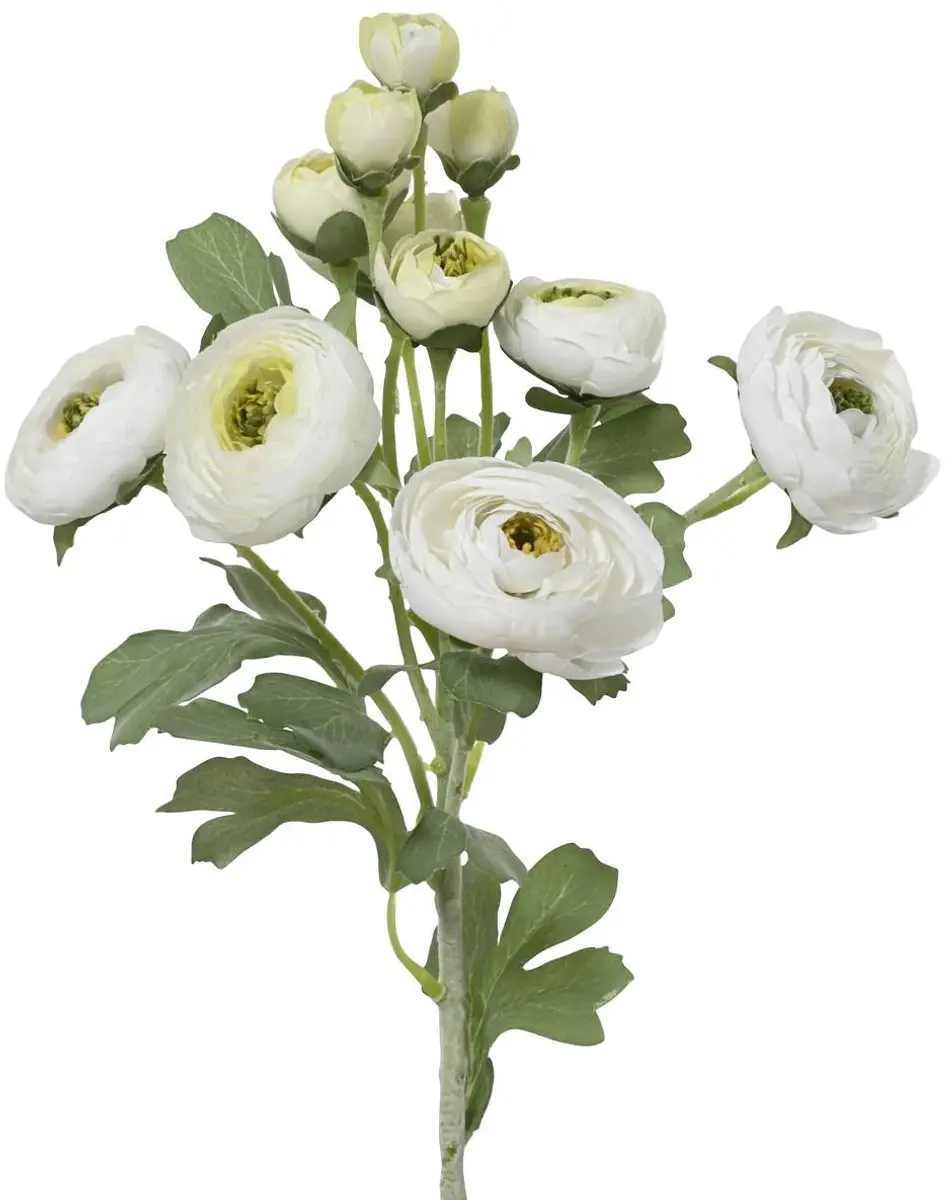 Everlands Ranonkel Wit 6 Bloemen & 6 Knoppen 55 cm