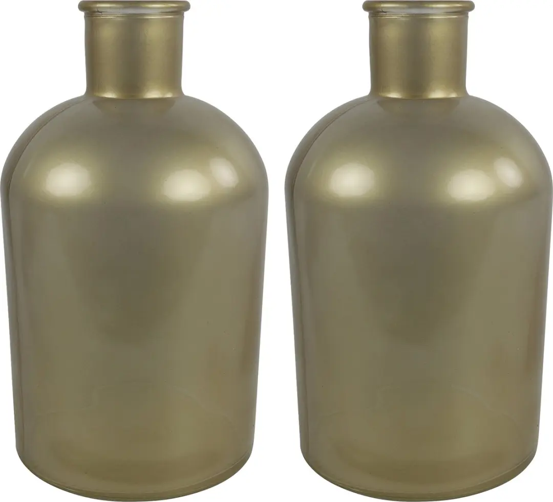 Countryfield bloemen/takken Vaas - 2x stuks - mat goud glas - fles - D14 x H27 cm