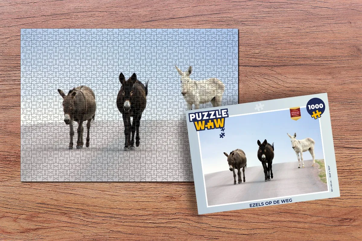 PuzzleWow Ezels op de weg Legpuzzel 1000 Stuks - Multicolor