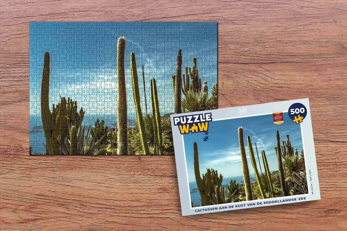 PuzzleWow Legpuzzel Cactus
