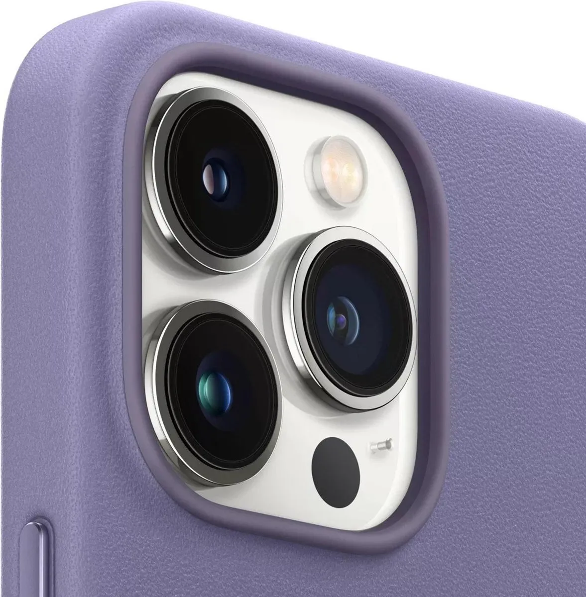 Apple MagSafe Hoesje MM1P3ZM/A - iPhone 13 Pro Max - Blauweregen