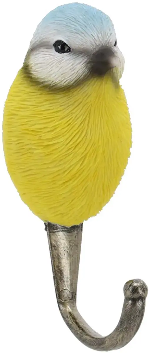 Wandhaak pimpelmees