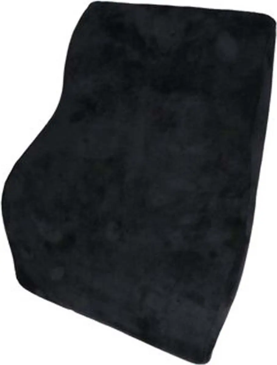 Carpoint Rugkussen Memory Foam