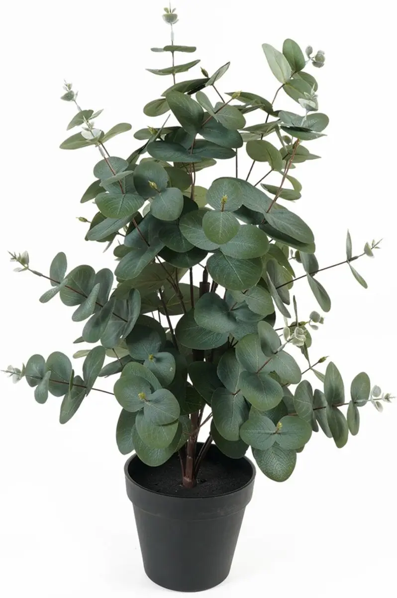 Present Time Eucalyptus Leaf Kunstplant 54cm