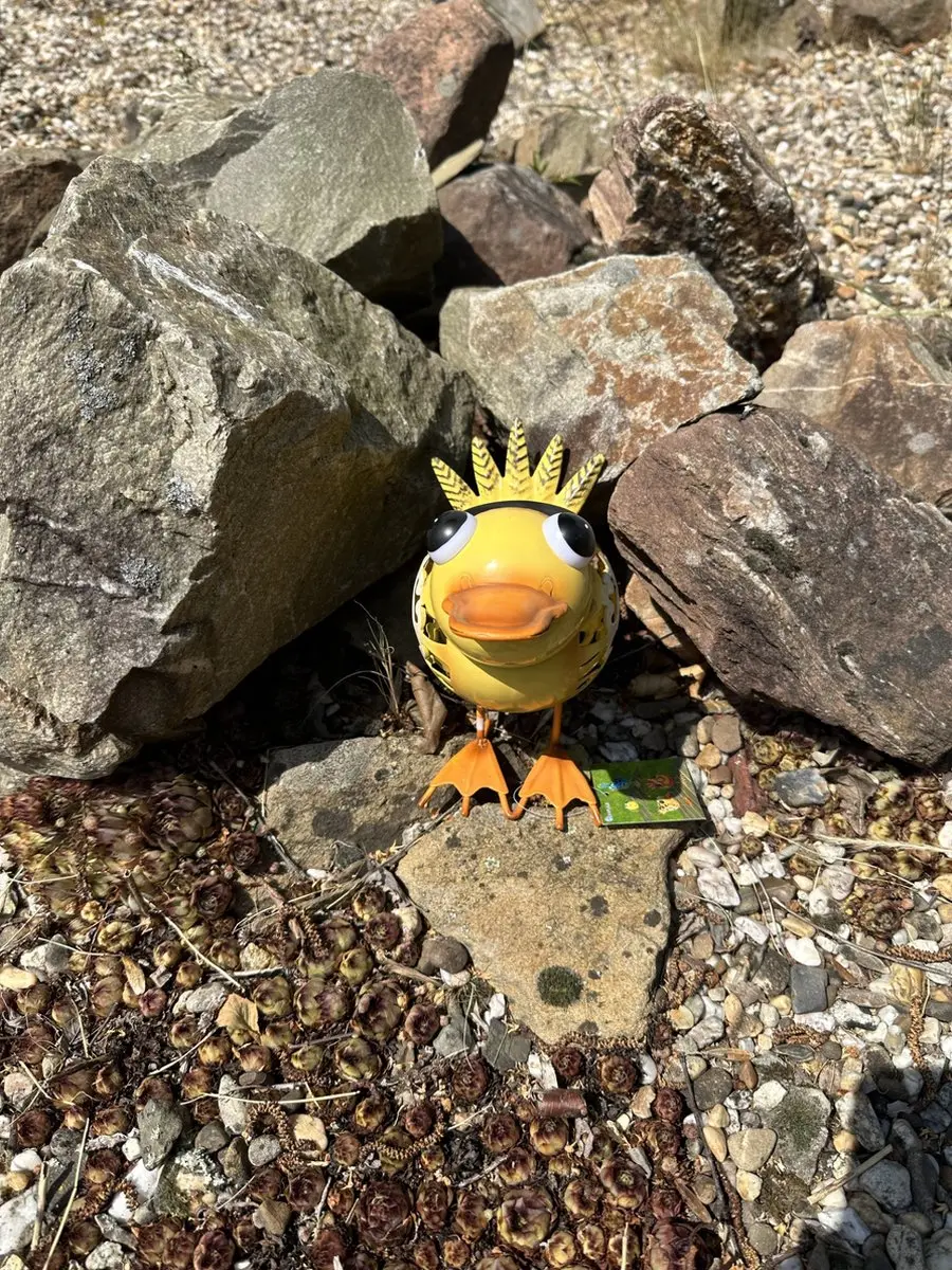 Metalen solarlamp "eend"