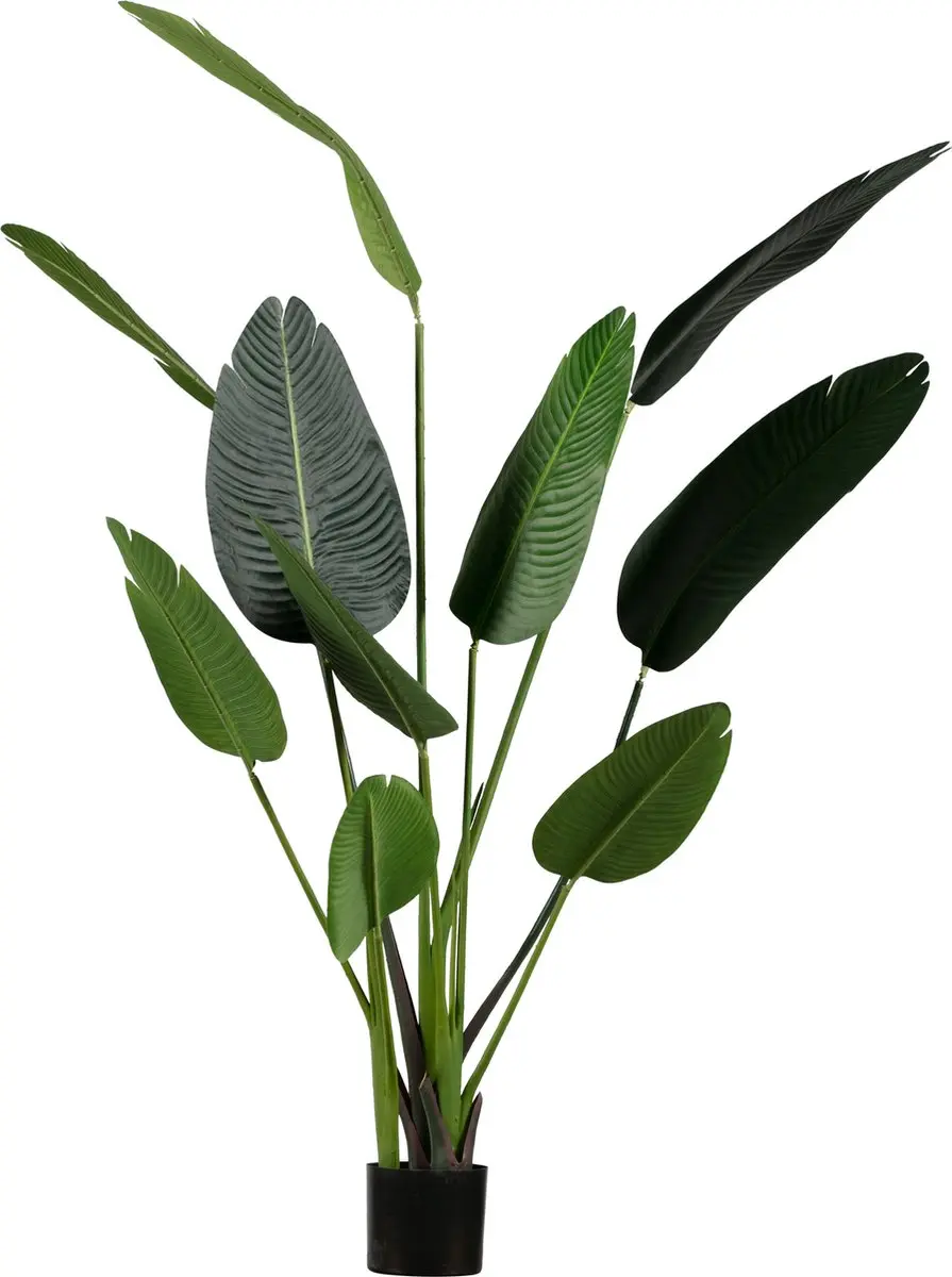 WOOOD Strelitzia Kunstplant