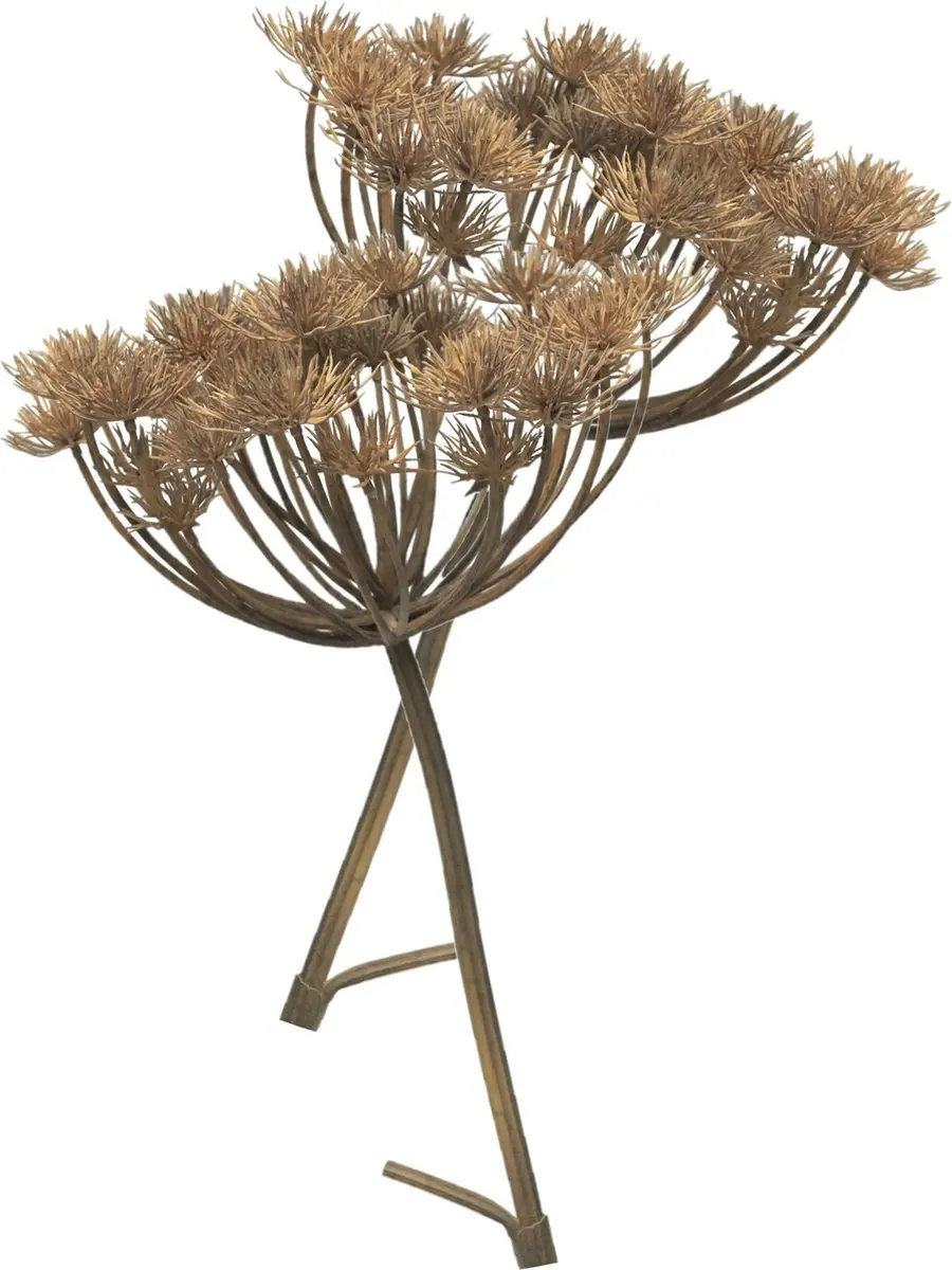 Bellatio Design Kunstbloem/kunsttak Berenklauw/heracleum