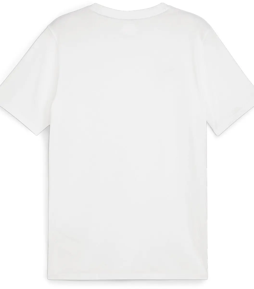 Puma TeamGoal T-shirt 658615