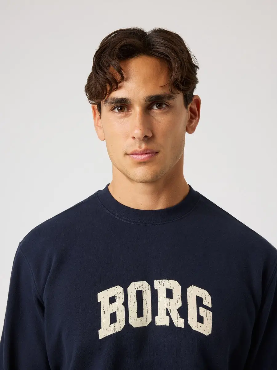 Björn Borg Classic Print Sweater Heren Trui Met Lange Mouwen Mannen Heren
