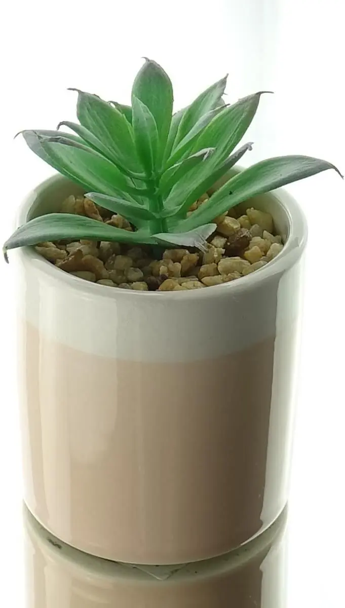 Kaemingk mini-succulent beige stenen pot hoogte 10 cm