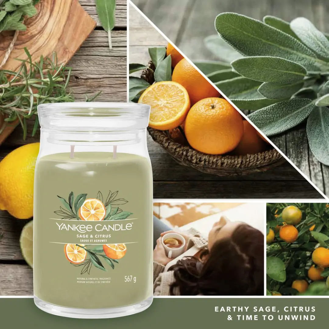 Yankee Candle Sage & Citrus Geurkaars Large Jar - 567g - afbeelding 2 van 3