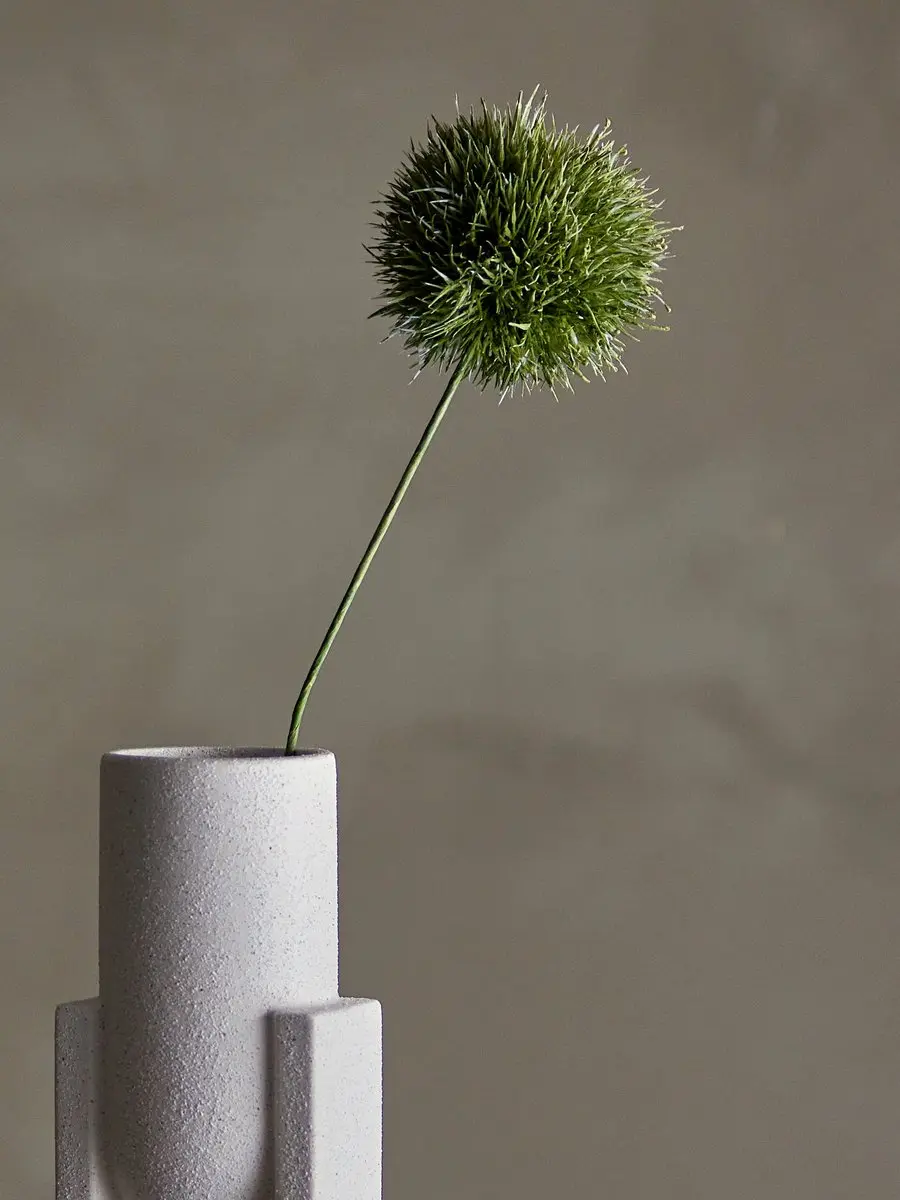 Allium Stem Green