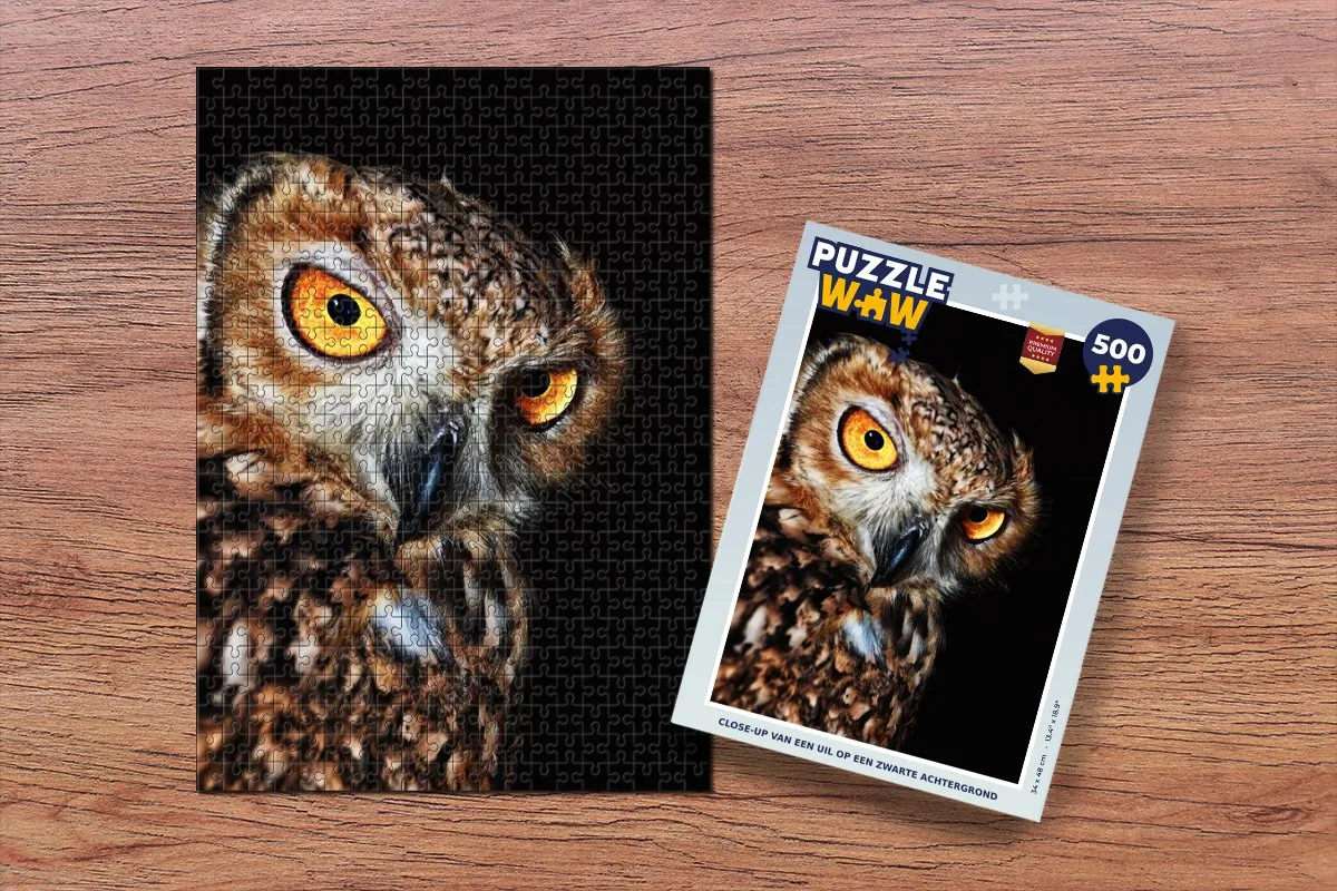 PuzzleWow Uil Legpuzzel 500 Stuks - Multicolor