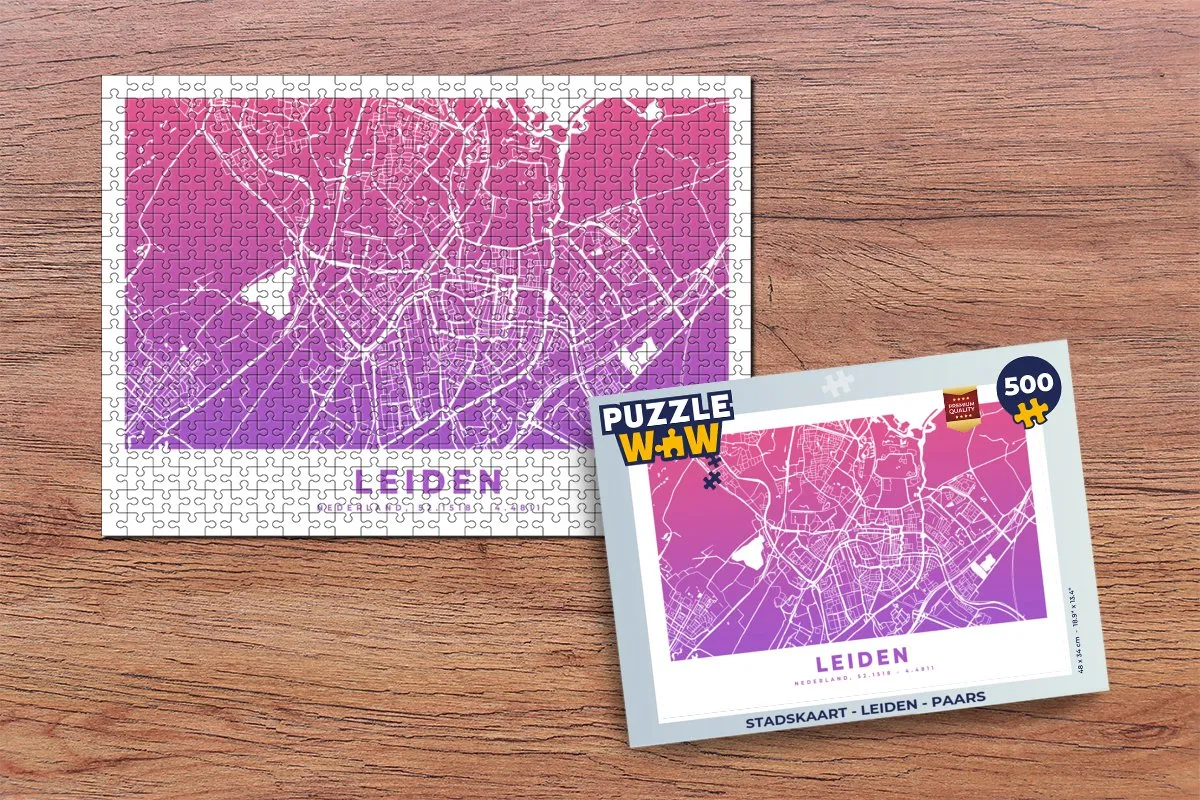 PuzzleWow Leiden Legpuzzel 500 Stuks - Multicolor