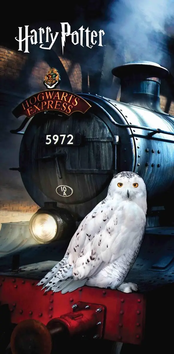 Harry Potter Strandlaken Hedwig