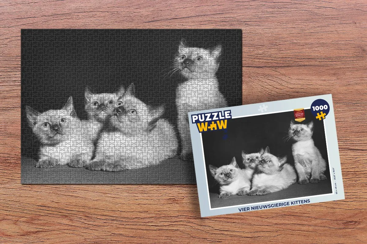 PuzzleWow Vier Nieuwsgierige Kittens Legpuzzel 1000 Stuks - Multicolor