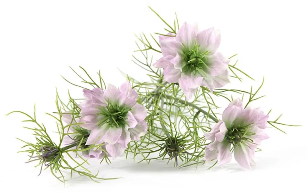 Countryfield Kunstbloem Cosmos bipinnatus Jalisha paars