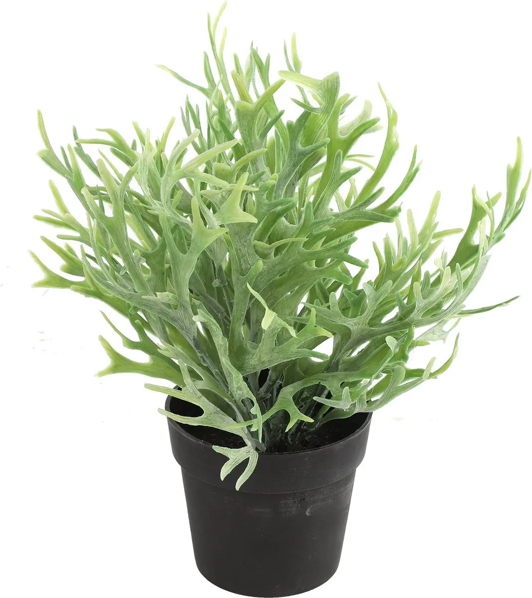 Countryfield Kunstplant Platycerium plant in bloempot