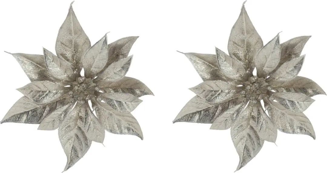 Decoratie bloem kerststerren