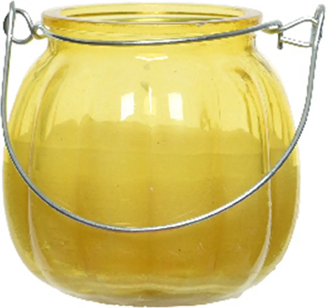 Decoris Citronella kaars voor buiten