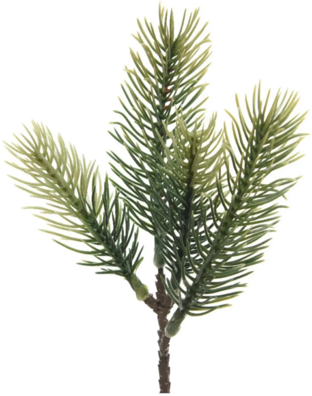 Decoris dennentakjes