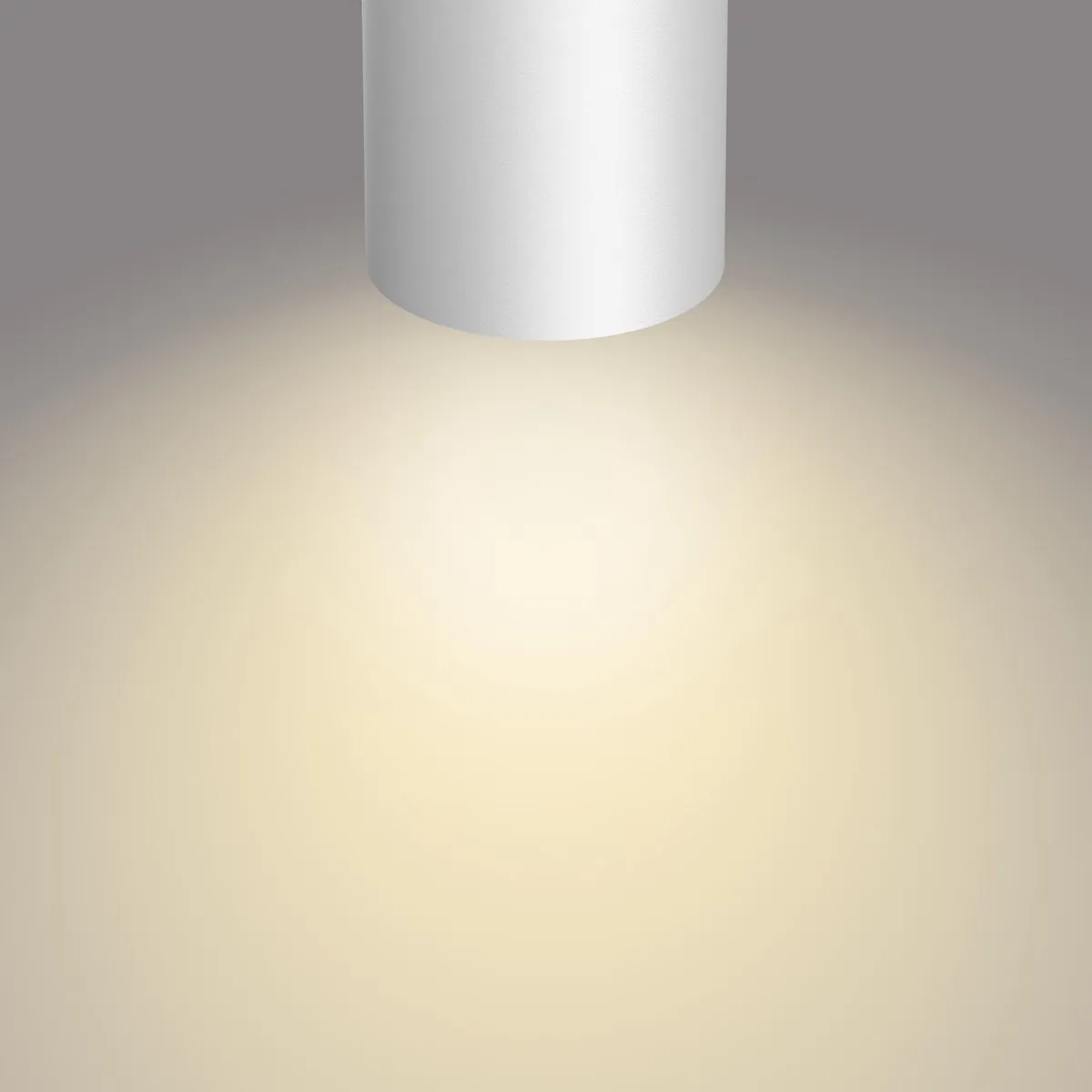 Philips Byrl Opbouwspot LED SceneSwitch 3x4,3W - 430 Lumen - Wit