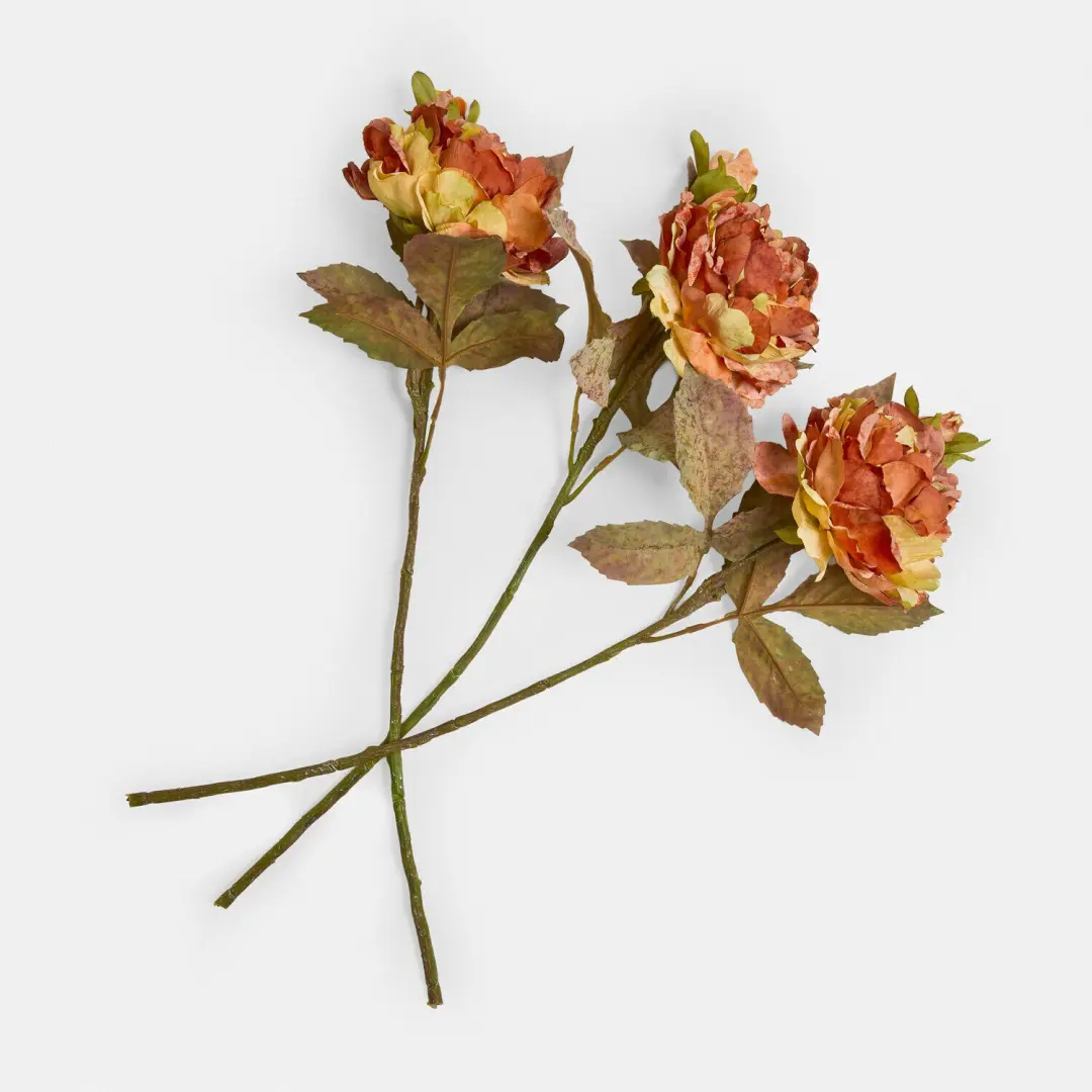 Loberon Decoratieve Bloemset 3 Stuks Ambrayelle