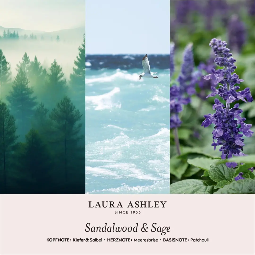 Laura Ashley Geurhanger Sandelhout & Salie - afbeelding 3 van 4