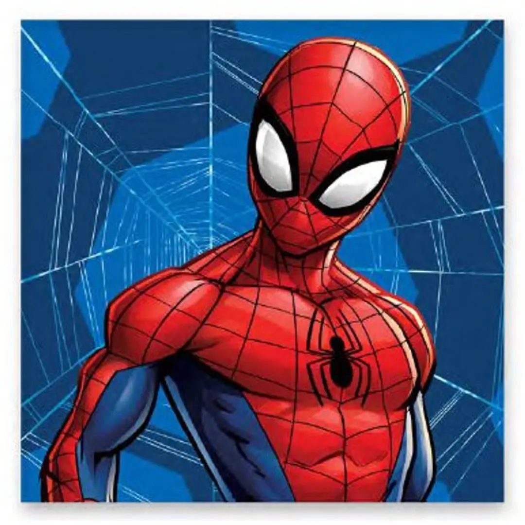 Spiderman Web handdoek, gezichtshanddoek, handdoek 30x30cm